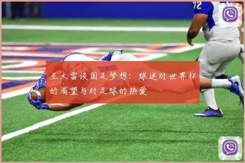 王大雷谈国足梦想：球迷对世界杯的渴望与对足球的热爱